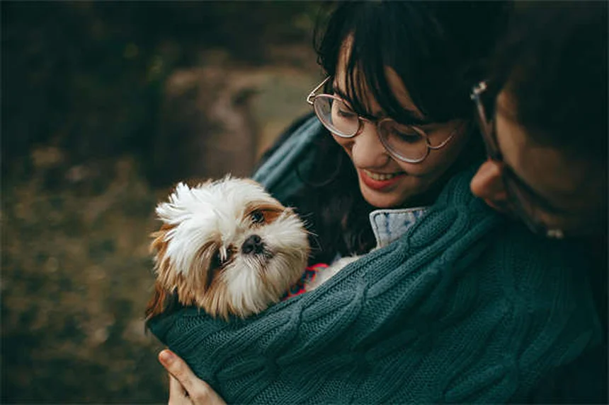 犬の目が赤い！すぐに獣医に連れて行くべき危険な原因と対処法